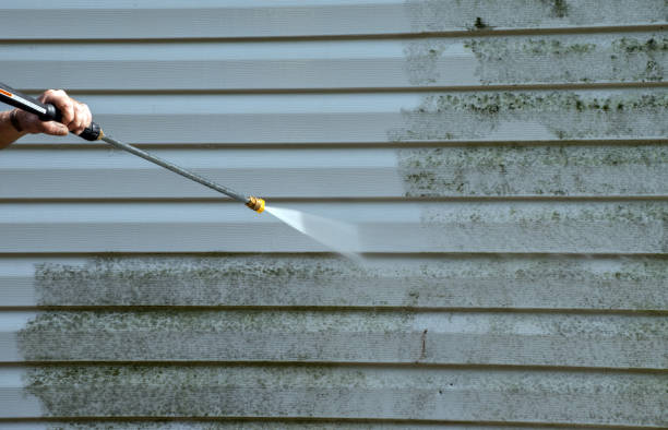 Best Commercial Mold Removal  in Orange, OH