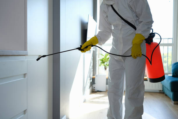 Orange, OH Mold Removal Company